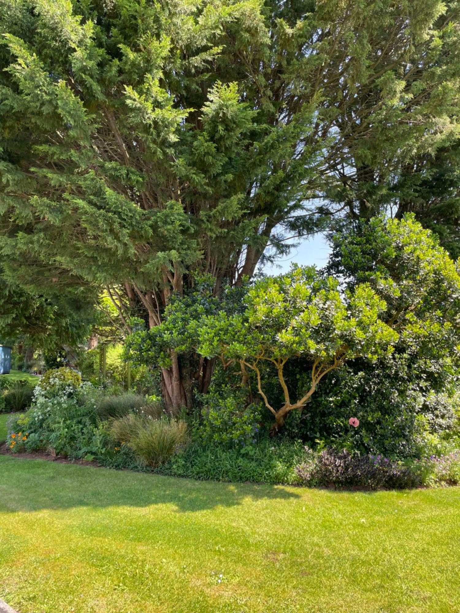 Leylands Annexe Vila East Harptree Exterior foto